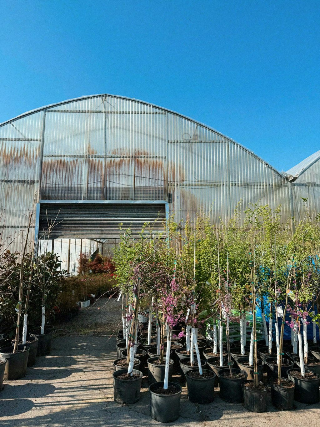 Proyectos ambientales y recursos naturales